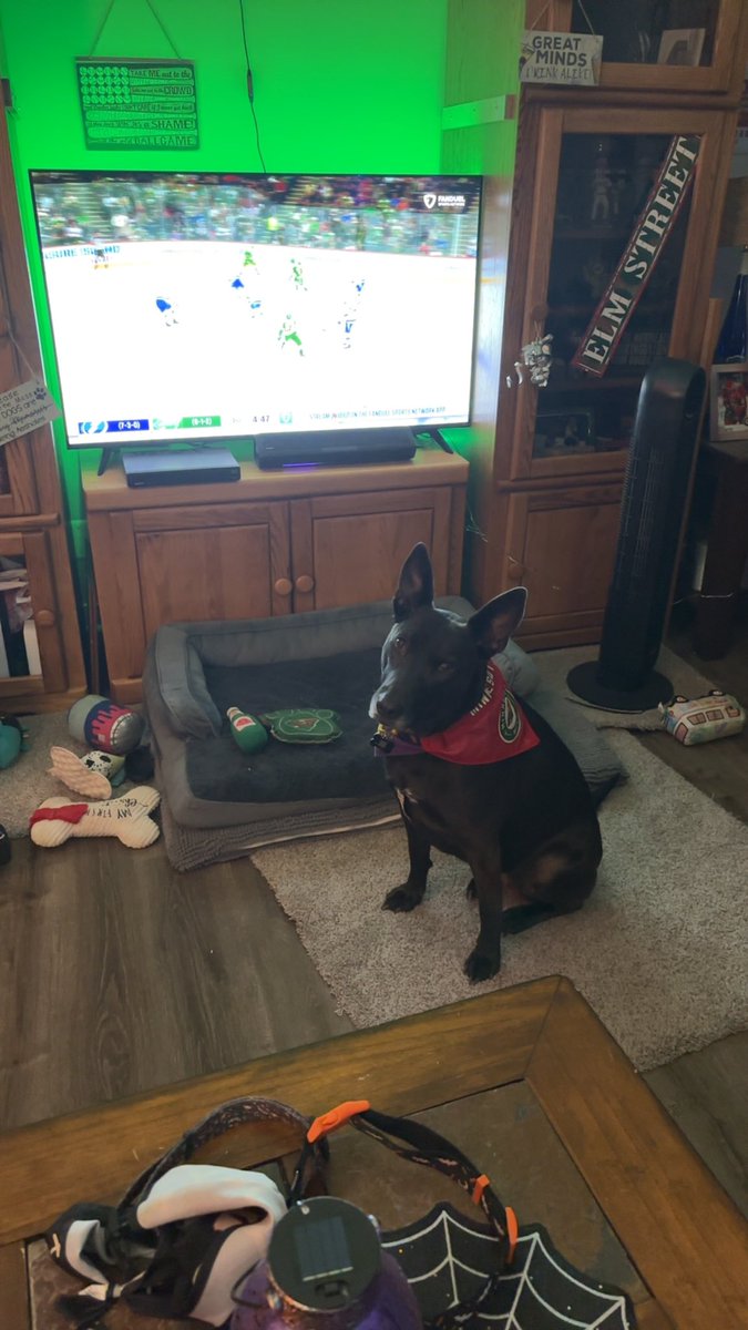 sxyfisch's tweet photo. Hockey night!! Stolis ready https://t.co/XTpSNBdCdr