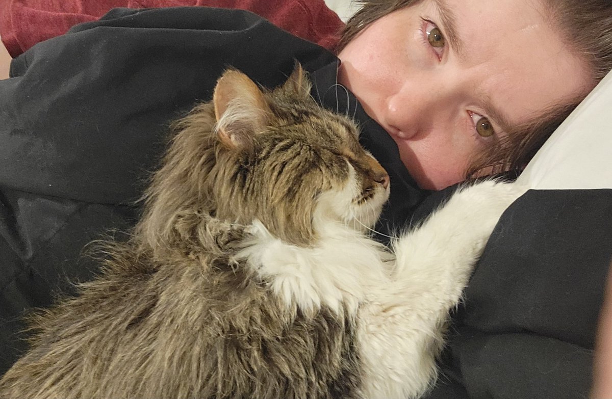 With a heavy heart I report, we laid Ignis to rest today. 

I adopted iggy as a senior cat back in 2017, and since then, he's been my companion, trash goblin, and gentle son. I miss him dearly, but at least he isn't suffering anymore. Forever will love my lil guy 💛