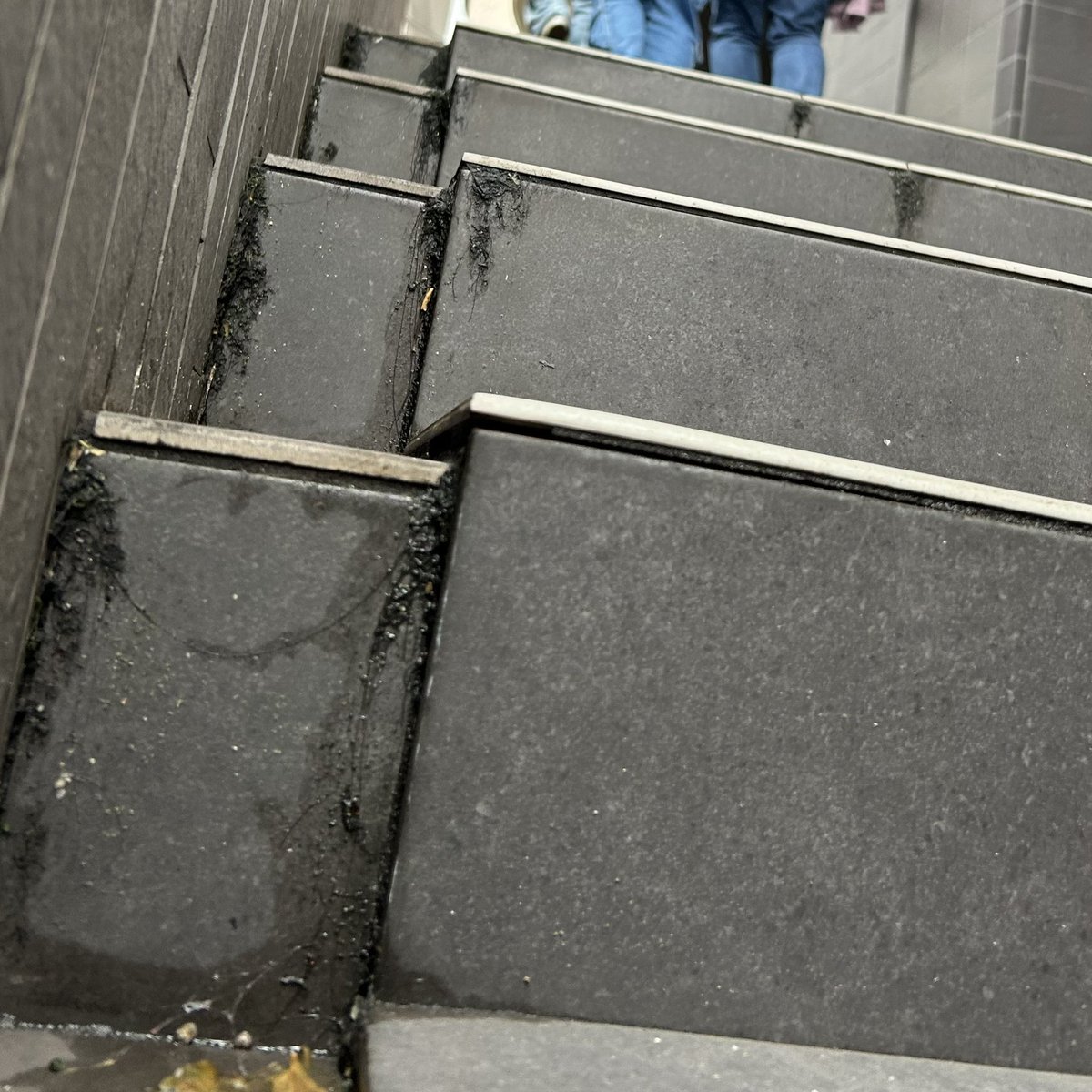 malyfred tweet media