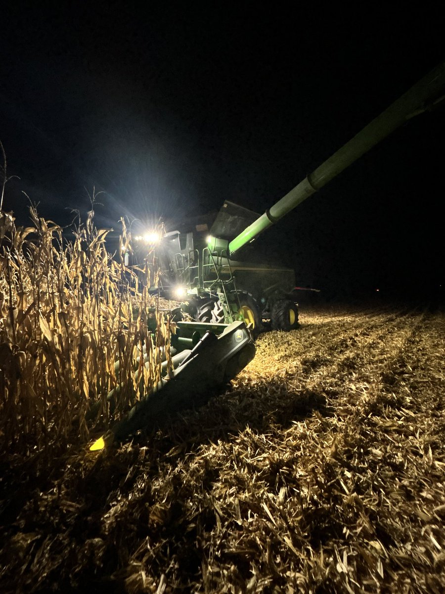 Not many of these nights left this year!