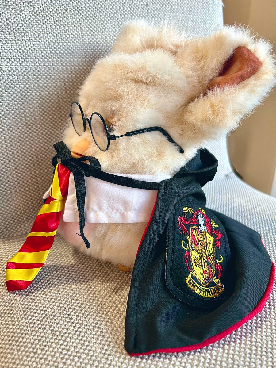 ホグワーツ魔法魔術学校に
入学しました🪄✨

#ハリーポッター
