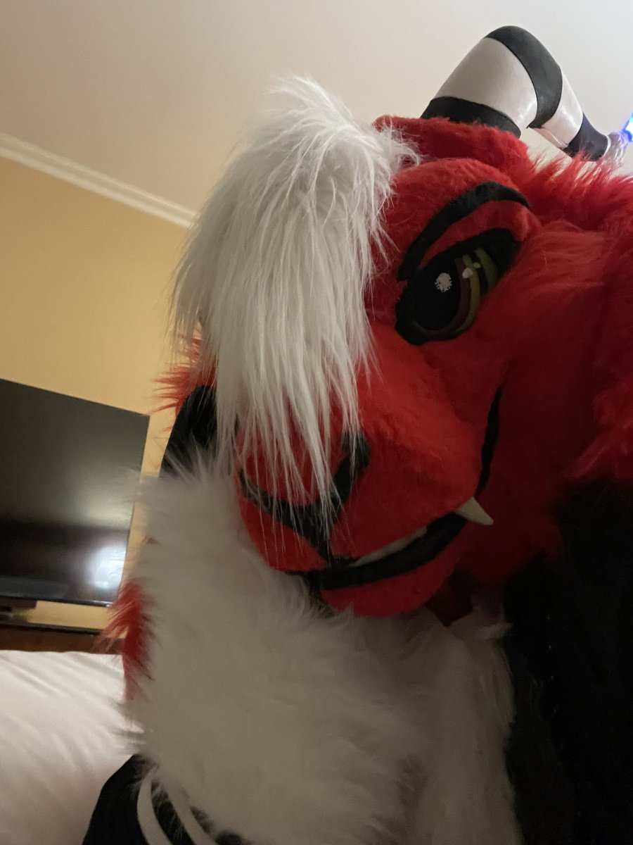 Hello Furpocalypse I am inside you.

#furpocalypse2024 #fursuitfriday