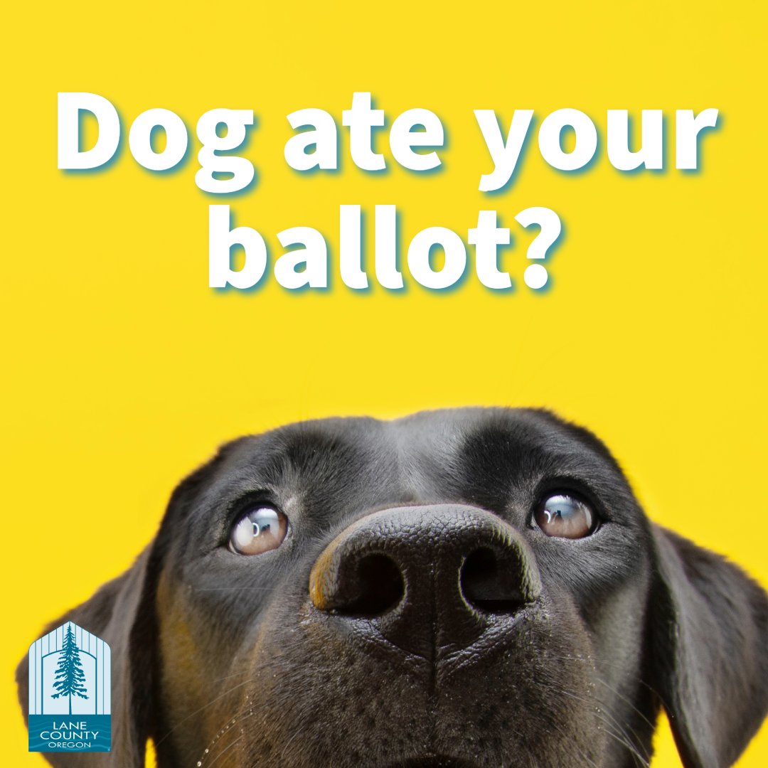 If you need a replacement ballot, you must pick it up at Lane County Elections. 

Common reasons people request replacement ballots:
🐶 Ballot was lost, damaged or destroyed
🖊️Filled it out incorrectly
🏠 Forgot to update their voter registration address

LaneCountyOR.gov/elections