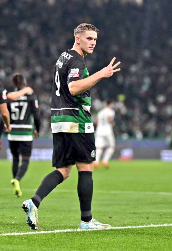 Raça de Leão 🏆 (@racadeleao_) on Twitter photo 