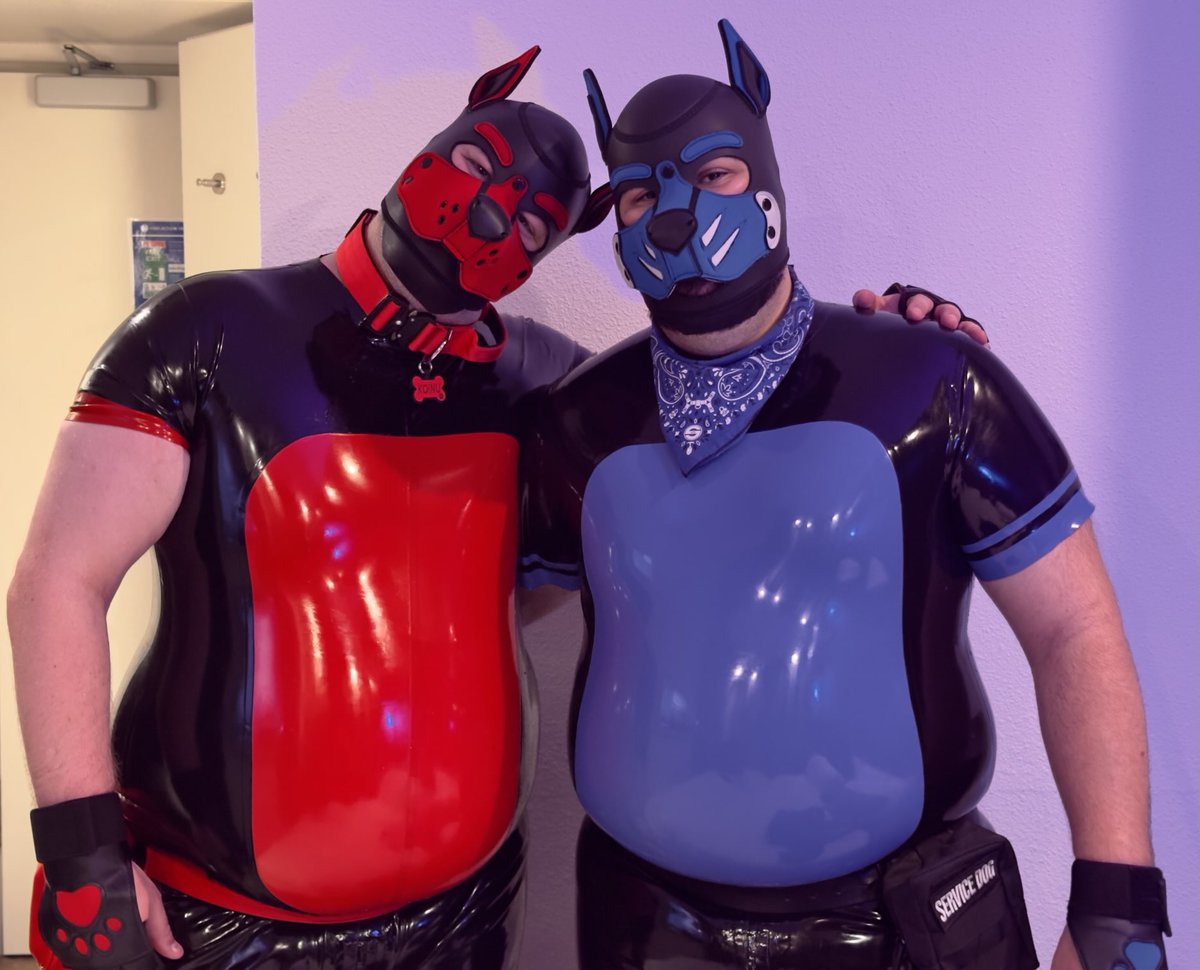 Night 2 of <a href="/doggyweekend/">DoggyWeekend</a>
ft. another <a href="/rubberpigs_/">Rubberpigs, visit us in Manchester</a> doggo <a href="/koinunokokishin/">Koinu no Kōkishin</a>
