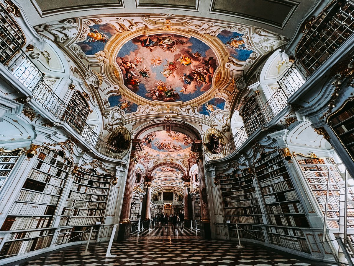 Arin Segal tweet media