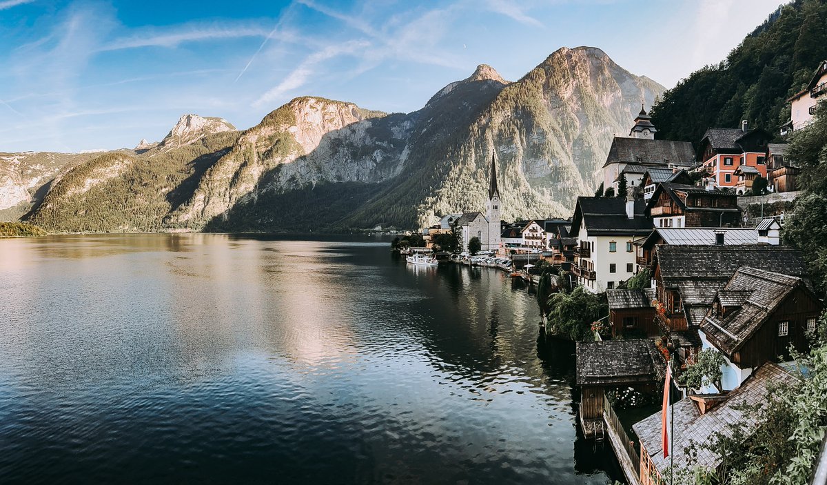 Arin Segal tweet media