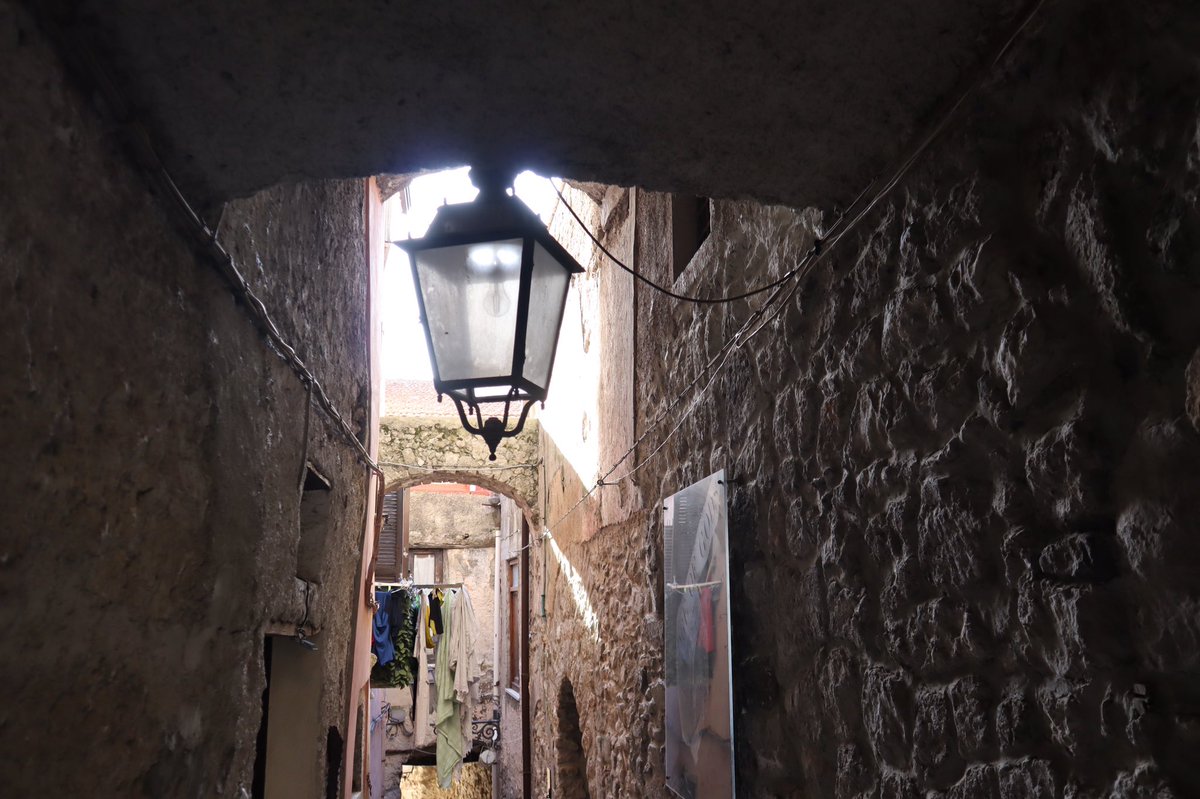 cirocrescentini's tweet photo. ✍️Credo che bisogna avere forti radici per non andare dove tira il vento. 
📸Qualche scatto prodotto a Frasso Telesino in provincia di Benevento https://t.co/p9e1d6vdvv