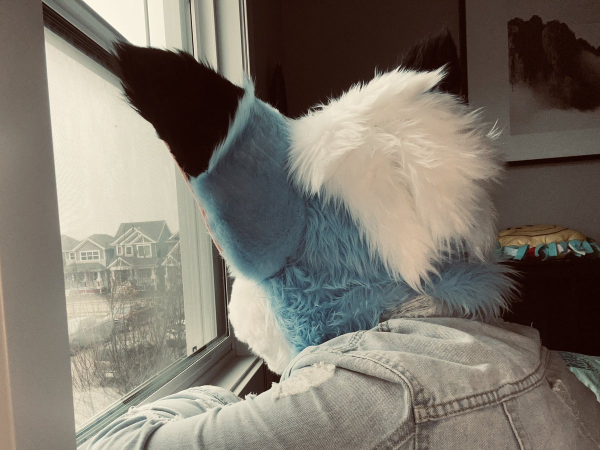 IchiroShiro03's tweet photo. Happy #FursuitFriday tis almost winter time which means… ALMOST CRIMAS https://t.co/qAvK59Y3cB