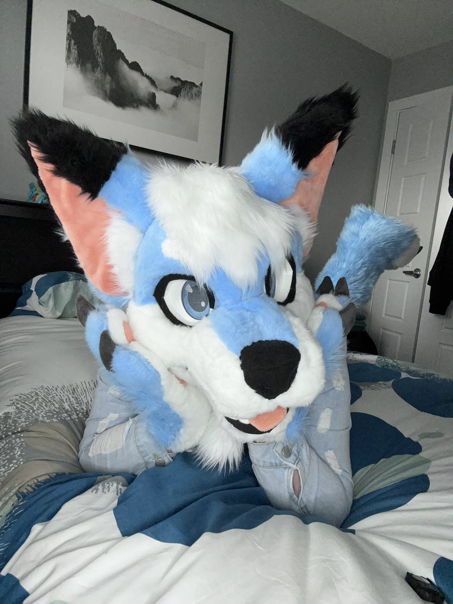 IchiroShiro03's tweet photo. Happy #FursuitFriday tis almost winter time which means… ALMOST CRIMAS https://t.co/qAvK59Y3cB