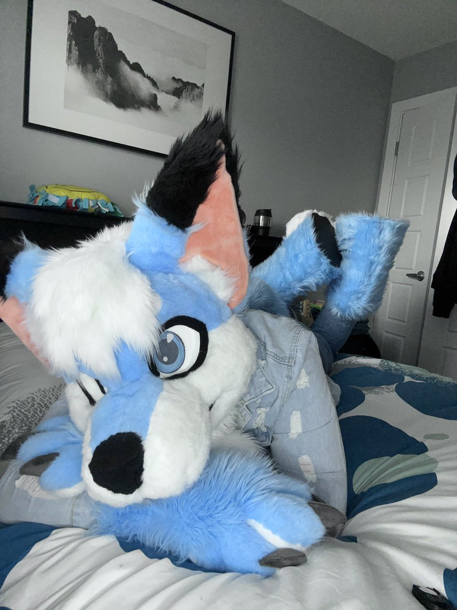 IchiroShiro03's tweet photo. Happy #FursuitFriday tis almost winter time which means… ALMOST CRIMAS https://t.co/qAvK59Y3cB