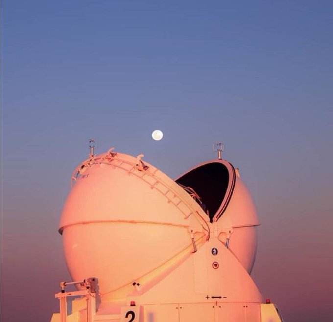 Black Hole tweet media