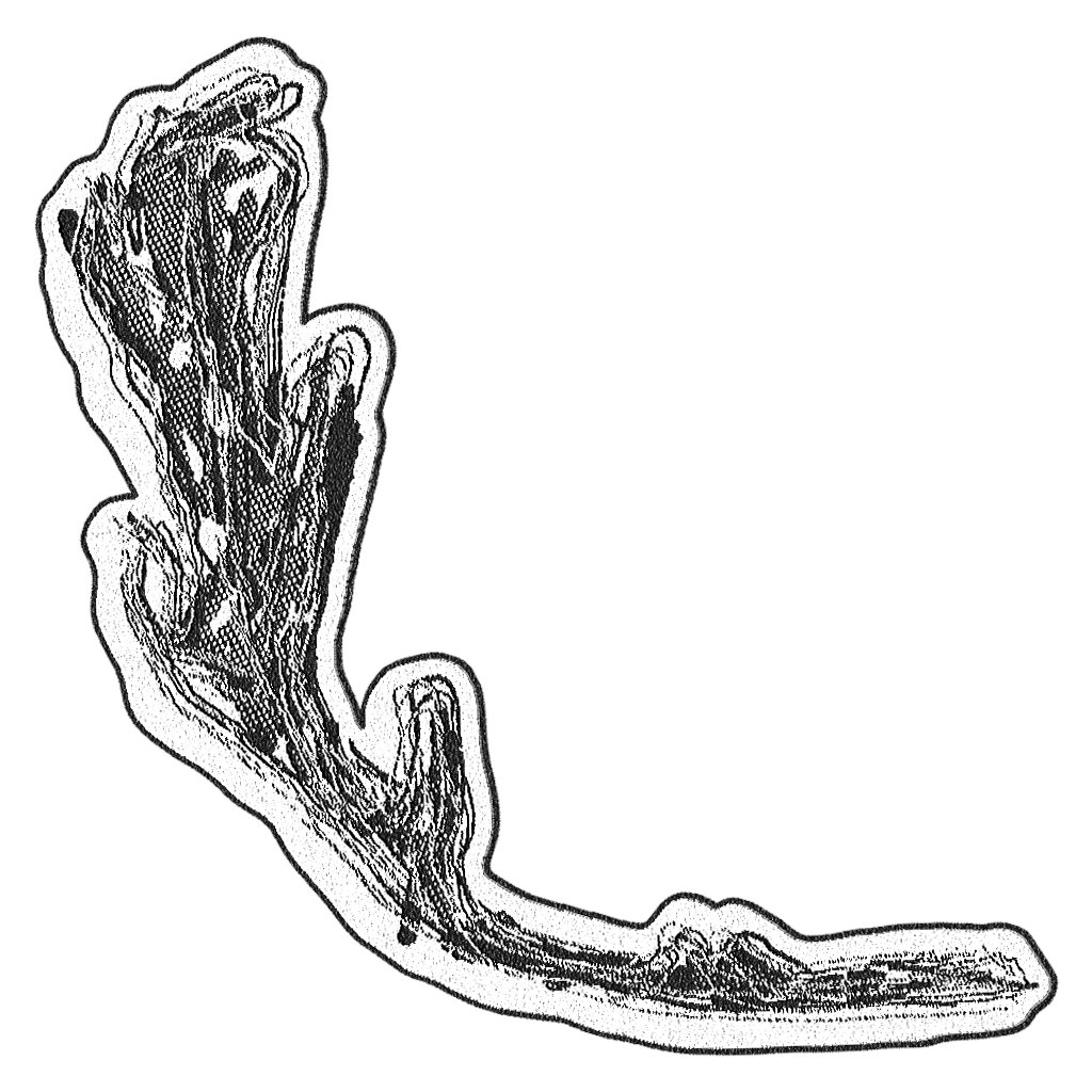 <a href="/Pizza_DAO/">PizzaDAO.eth 🍕🏴‍☠️</a> <a href="/sanctuary_pizza/">Sanctuary_pizza</a> <a href="/113kw/">113kw KRISTINA WEISEROVA</a> <a href="/RarePizzas/">Rare Pizzas NFT 🍕🤌</a> <a href="/dark0eth/">Dark0 🌊</a> <a href="/iamcollbd/">Mad Hatter</a> <a href="/vpabundance/">vpabundance.eth 🐉</a> <a href="/OctantApp/">Octant.eth</a> <a href="/florianfrankfu1/">Florian Adolph</a>'s Arugula: