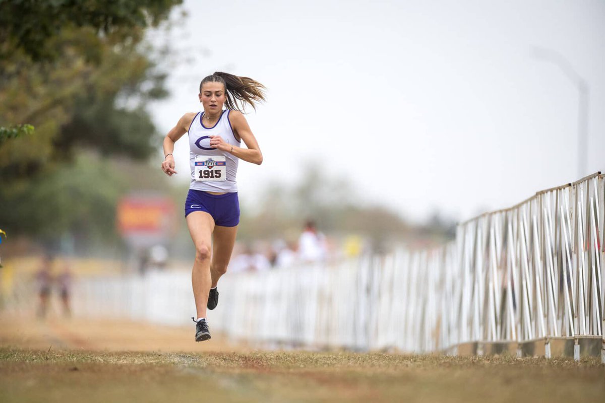 Press Pass Sports tweet media