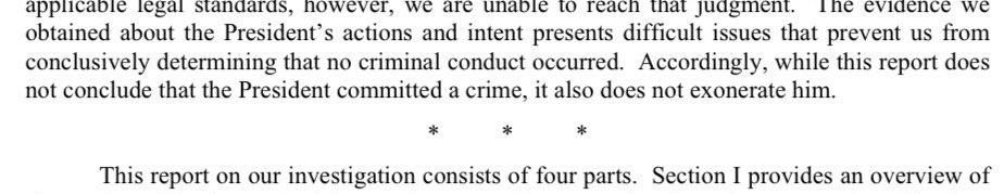 Adam Jobbins tweet media