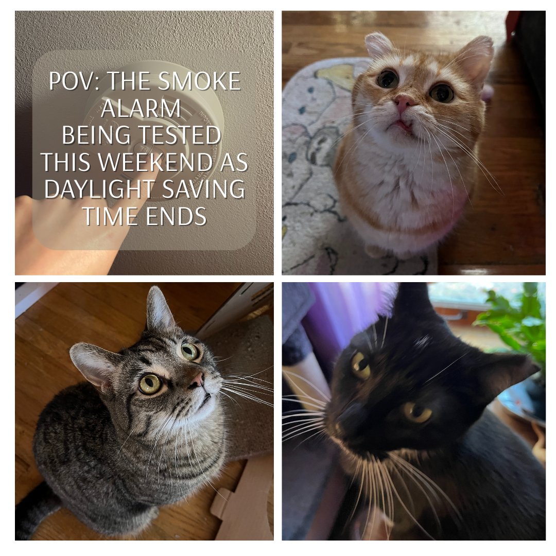KYRedCross's tweet photo. As you turn your clocks back this weekend to enjoy that extra hour of sleep (and confuse your furry friends), don't forget to also test your smoke alarms! Working smoke alarms save lives, so #TurnAndTest as #DaylightSavingTime ends! https://t.co/5ctOpxuPii