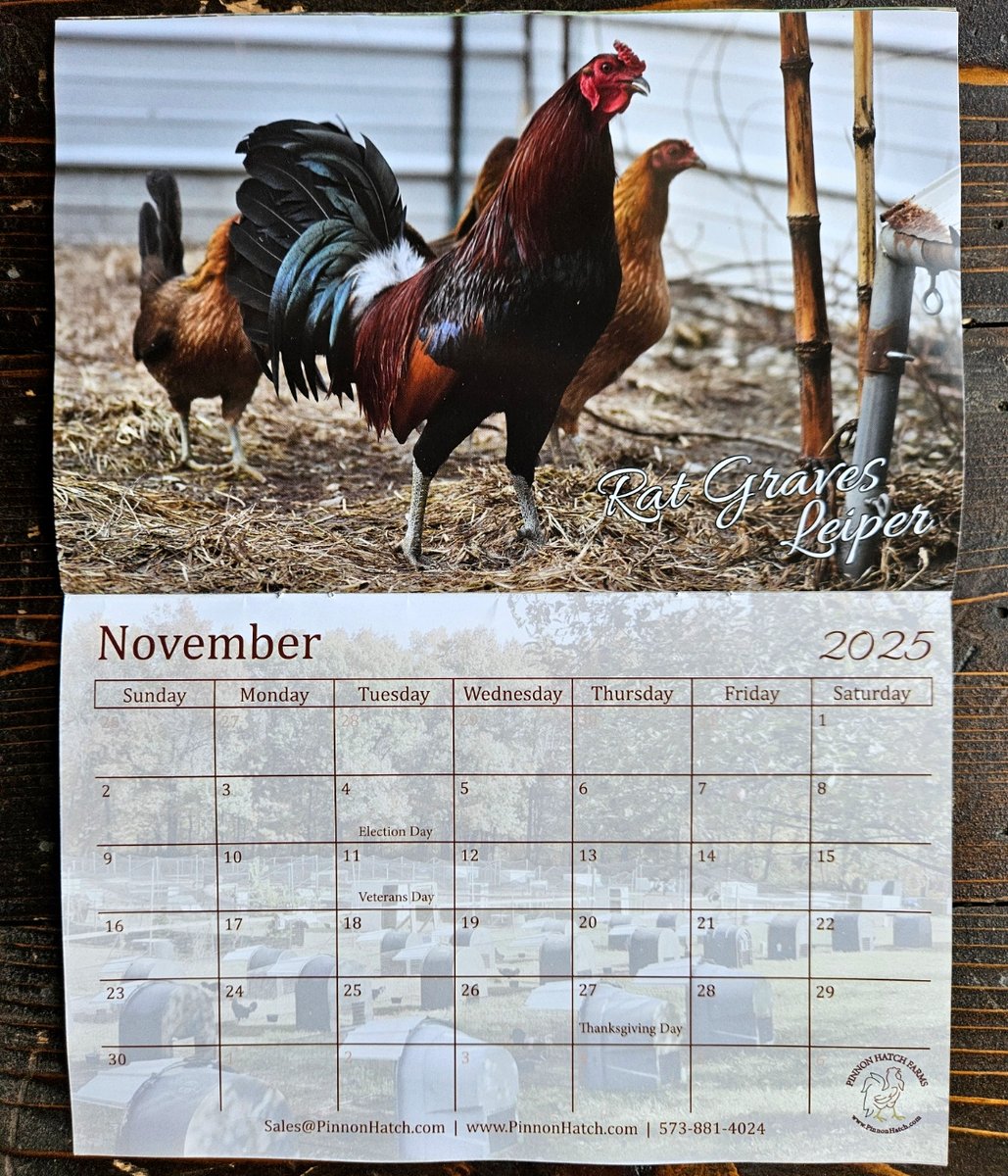 PinnonHatch's tweet photo. 2025 Calendars are now available. Calendars come free with any order from our website and get extras for $2.29 each. Get your today at https://t.co/nMGdDrXZCL https://t.co/l7n5CcAl4f