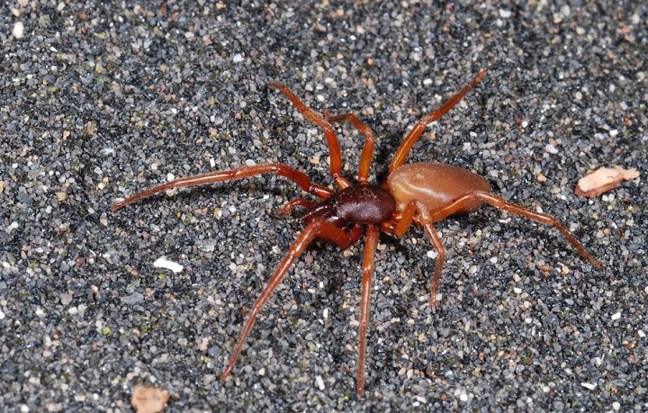 GeneticsUB tweet media