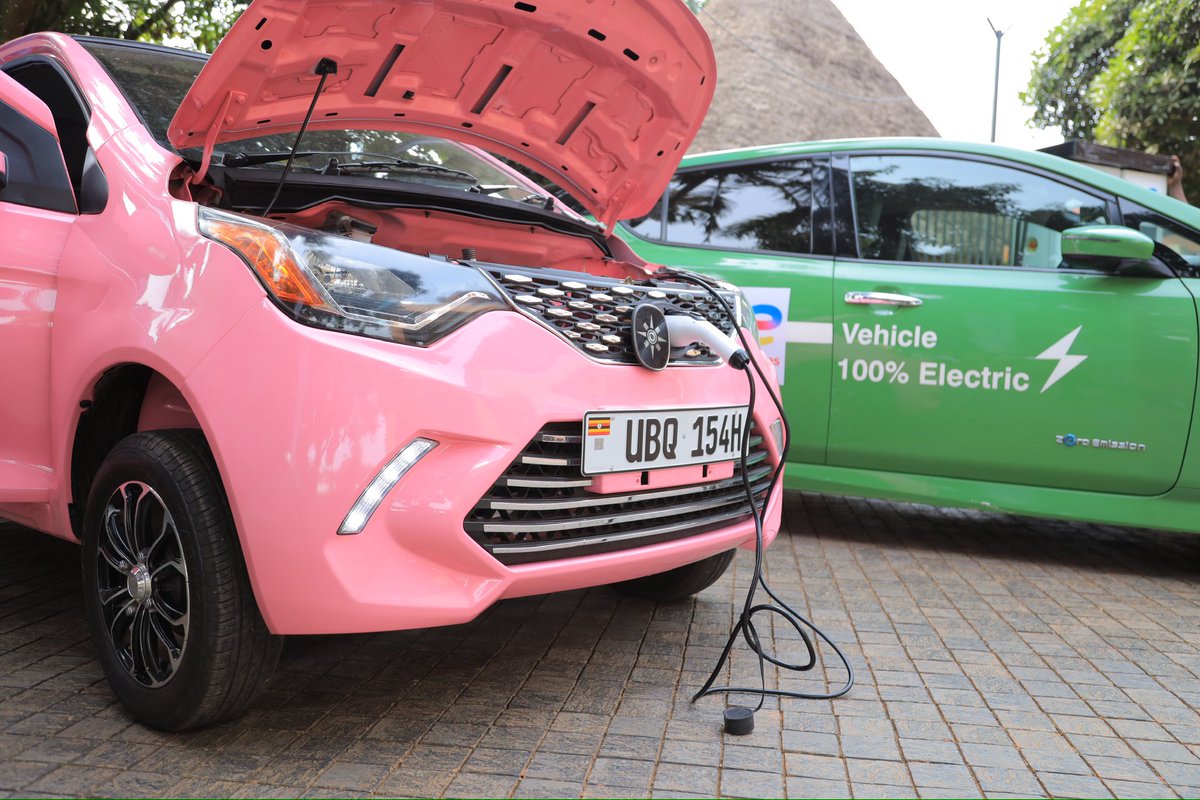 Green Lens International tweet media