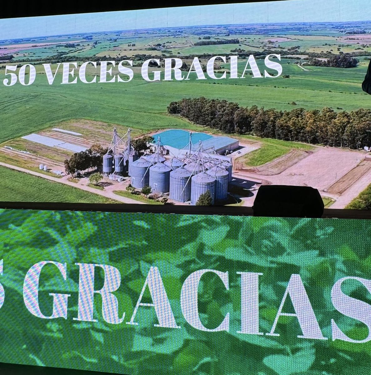 caro_greising's tweet photo. 50 años de @GyEsemillas Orgullo de pertenecer … https://t.co/m4sJqOCENp