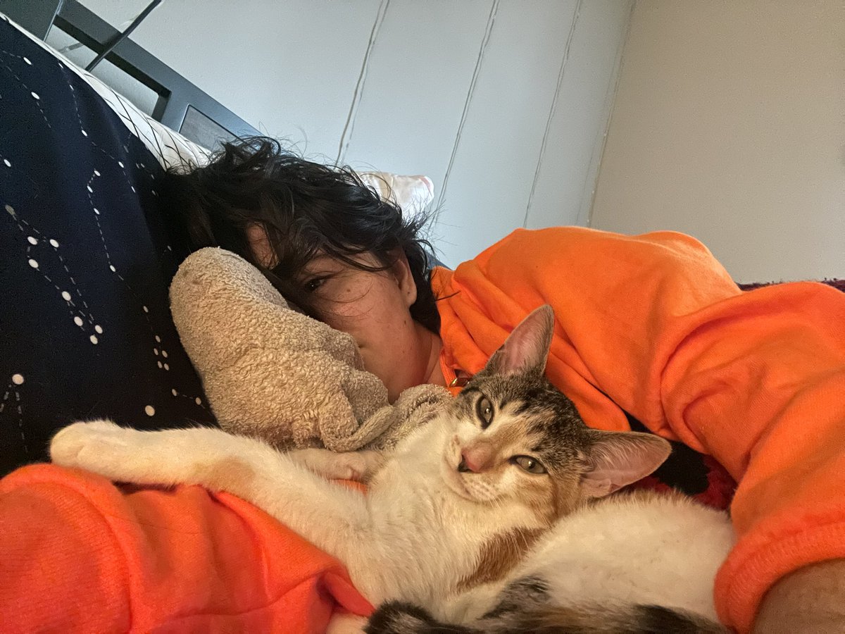DetectiveMal's tweet photo. Post Halloween Festivities make me go nocturnal I think https://t.co/yecAlLSold