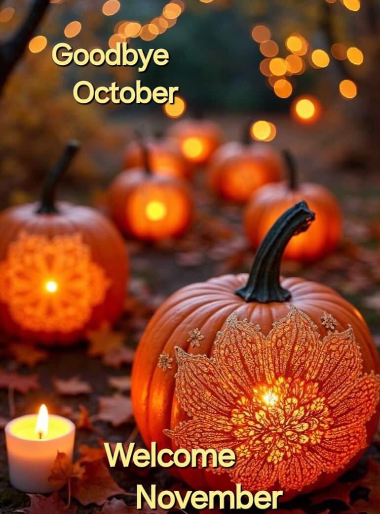 🍂🍁✨🥂✨🍁🍂