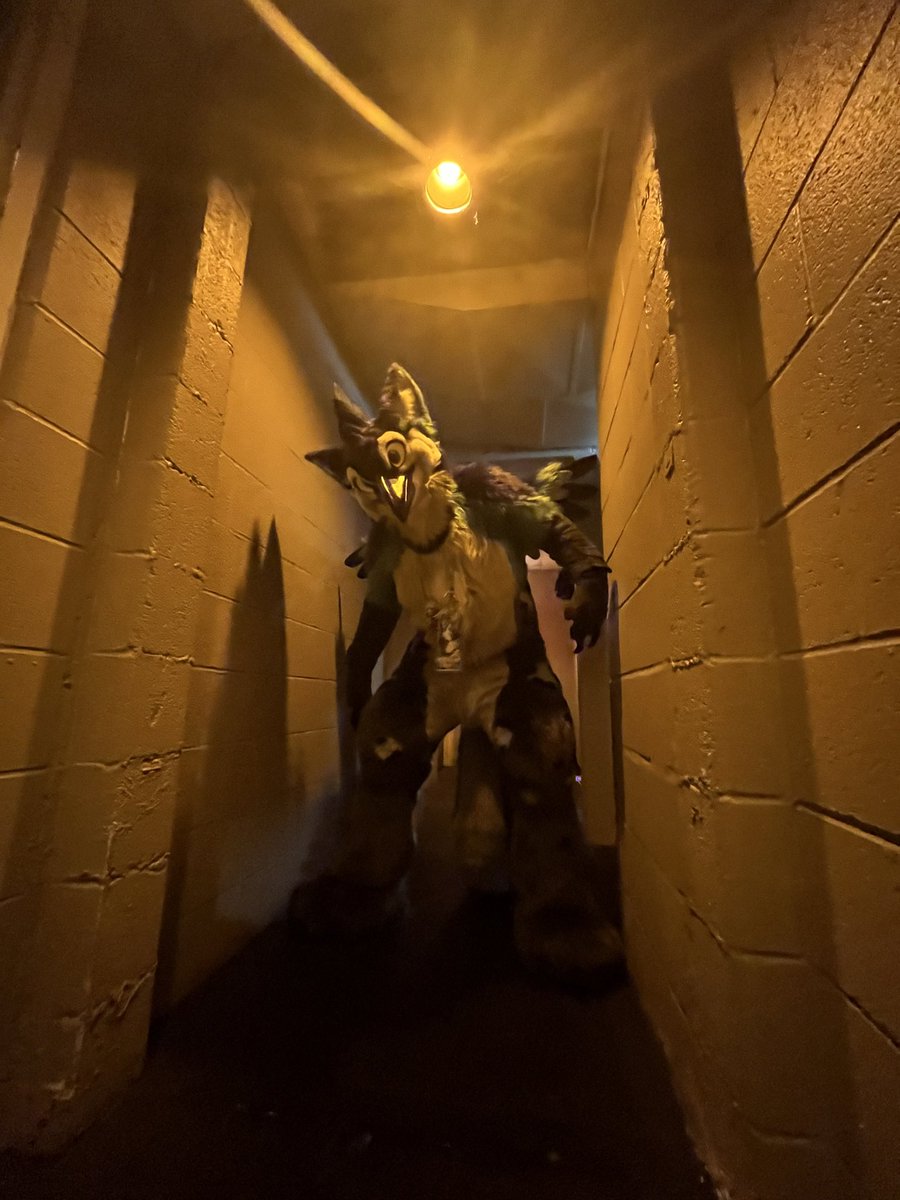 Bird Brained tweet media