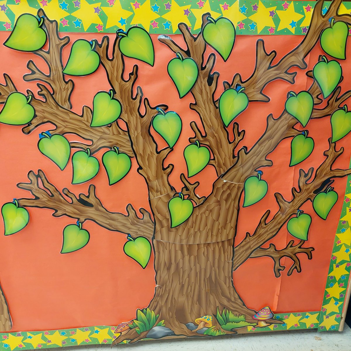 Victoria Bradley tweet media