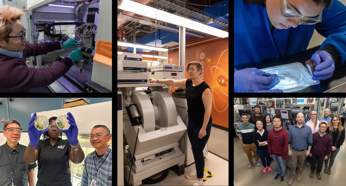 NatLabRockies's tweet photo. We celebrated #BioenergyDay with a retrospective showcasing our research into methods and technologies such as biodegradable plastics, phosphorus-eating algae for resource recovery, SAF, and converting carbon dioxide to value-added chemicals. 

Learn more: https://t.co/2K8vdxULPE https://t.co/Xz7lWnOacA