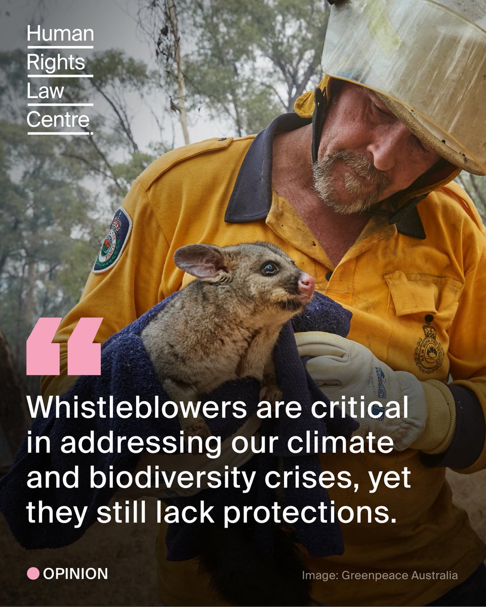 Human Rights Law Centre (@humanrightshrlc) on Twitter photo Whistleblowers have played a vital role in Australia exposing climate and environmental harm, and holding institutions to account – they should be protected, not prosecuted.
Read <a href="/MadeleineHowle/">Madeleine Howle</a>'s piece on the importance of environmental whistleblowing: australiainstitute.org.au/post/the-role-… Whistleblowers have played a vital role in Australia exposing climate and environmental harm, and holding institutions to account – they should be protected, not prosecuted.
Read <a href="/MadeleineHowle/">Madeleine Howle</a>'s piece on the importance of environmental whistleblowing: australiainstitute.org.au/post/the-role-…