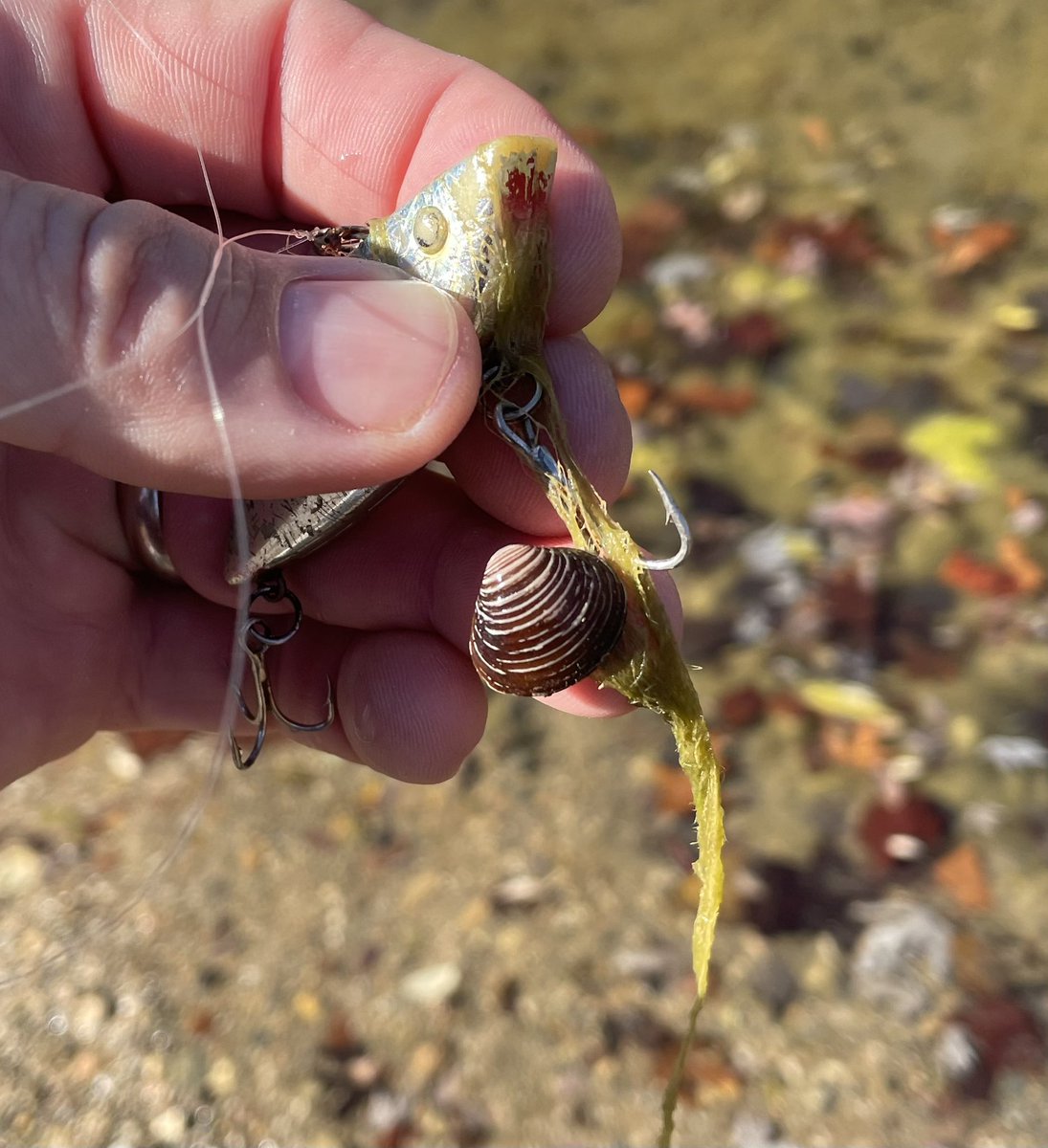 Jeremy Tiemann tweet media