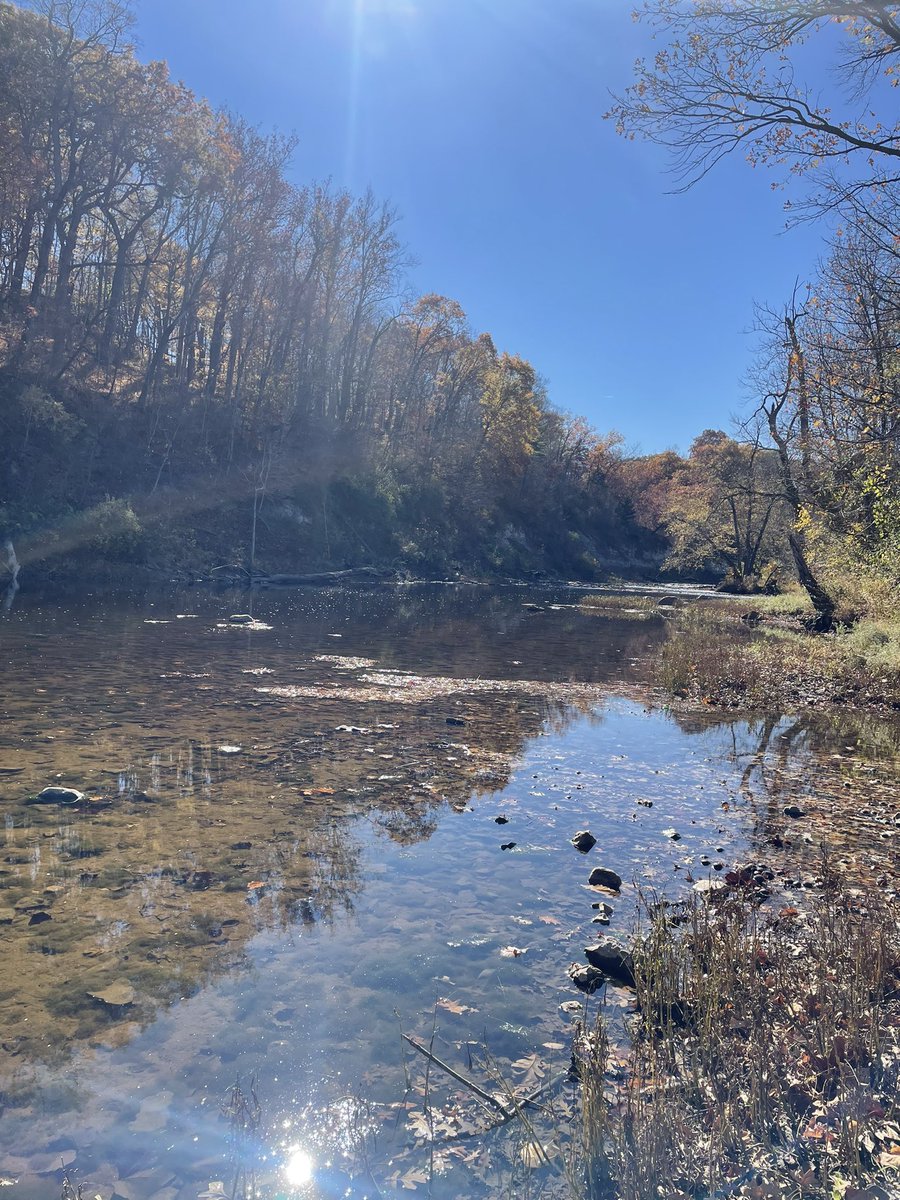 Jeremy Tiemann tweet media