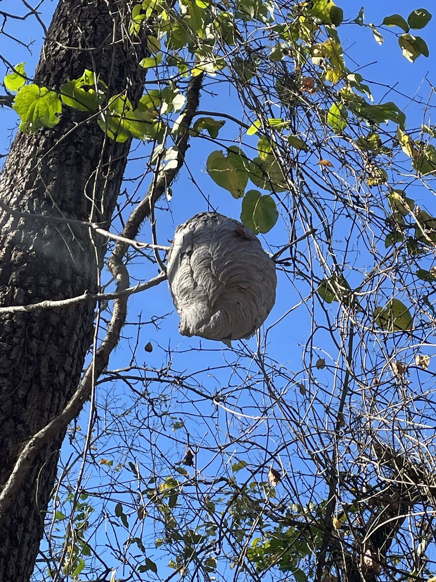 Jeremy Tiemann tweet media