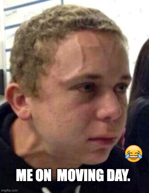 All_State_Mover's tweet image. Serenity now...Serenity now... 😅 
  #FridayFail #FridayFails #MovingFails #FridayFunny