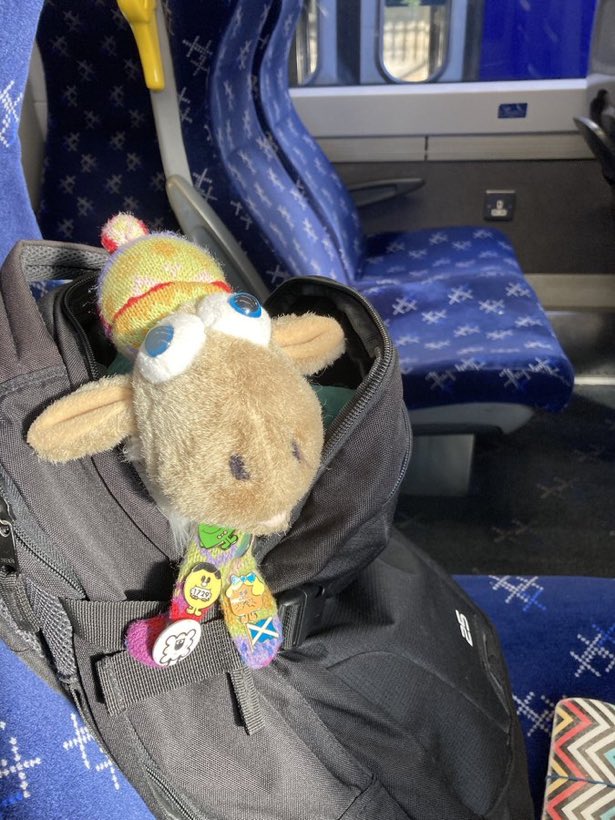 Soup Dragon 🏴 🇪🇺 tweet media