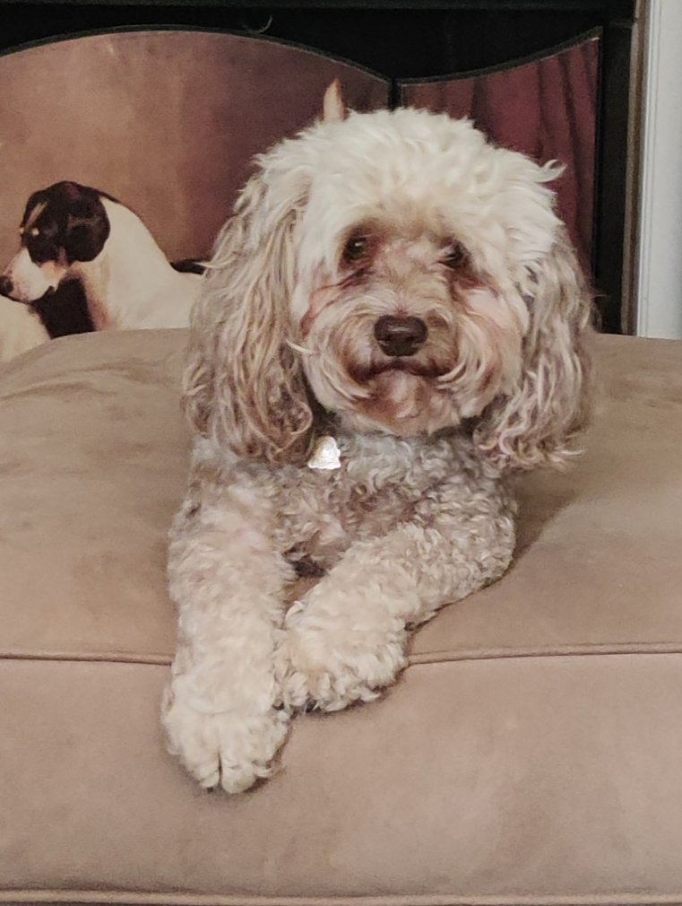 Happy Furiday! 🐾💖✨