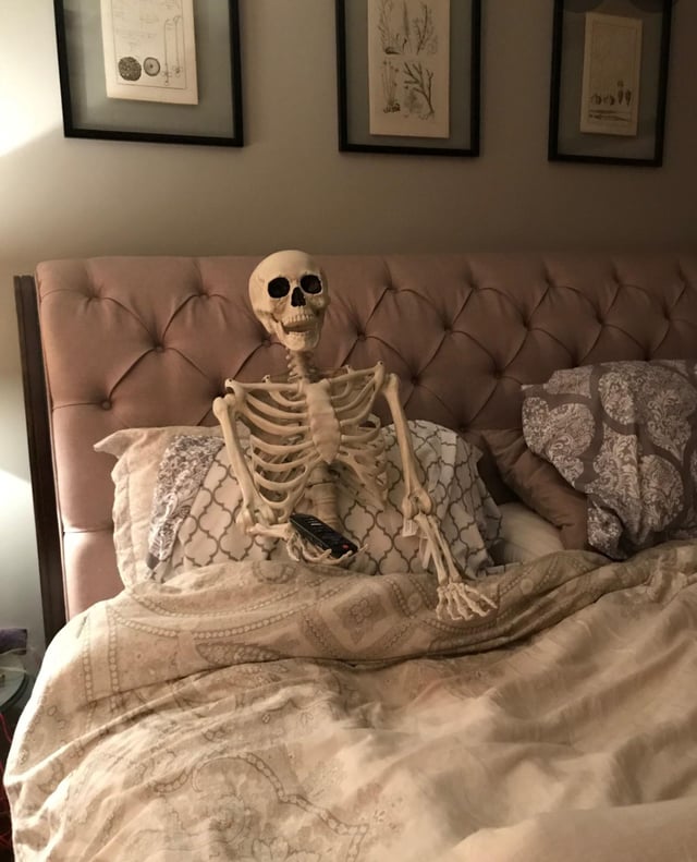 JUST LEAVE (A COMMENT) FEST tweet media