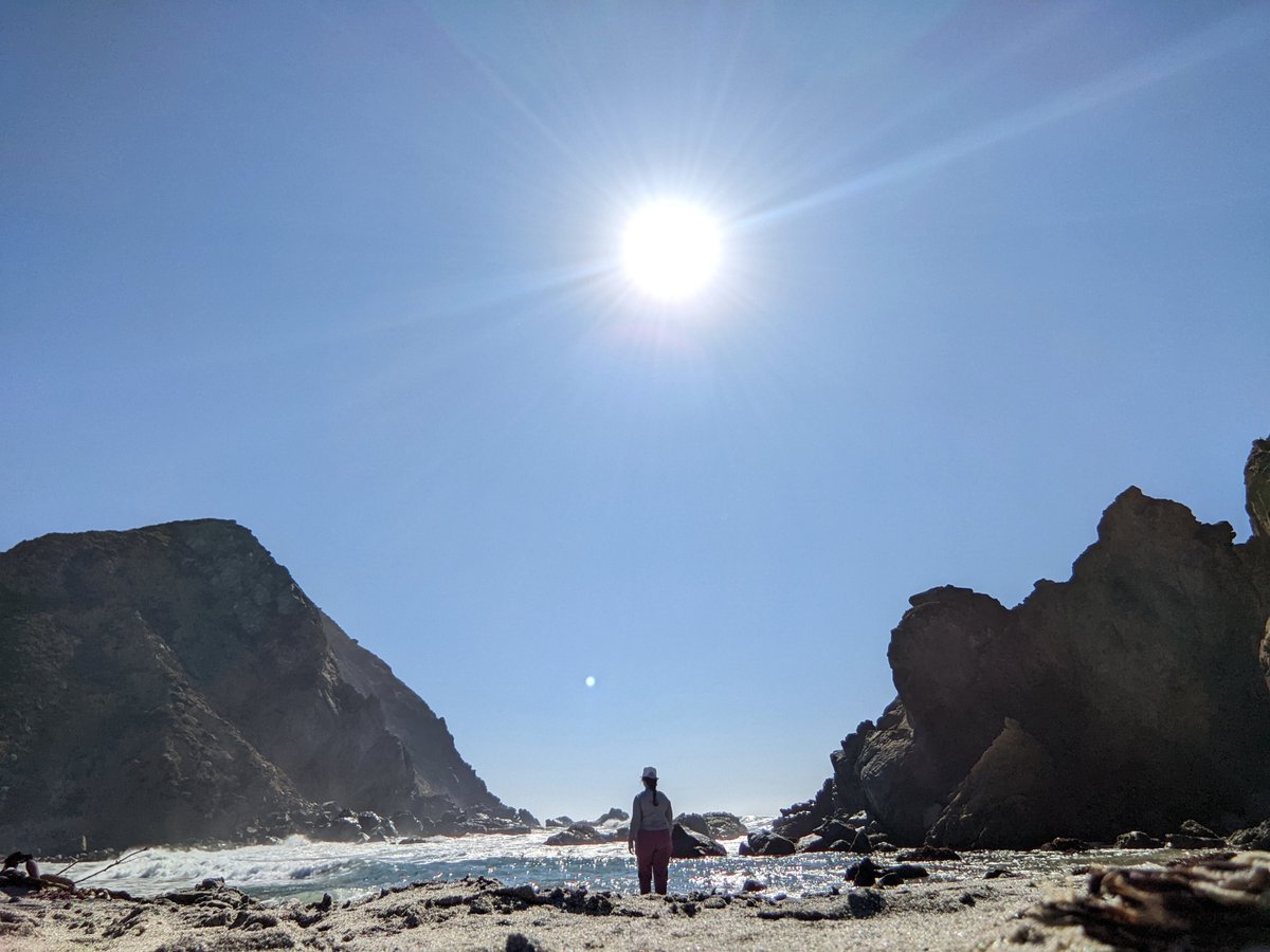 AFloback's tweet photo. I took the most amazing break from writing my dissertation this week 😍 https://t.co/Buc53ezgjF