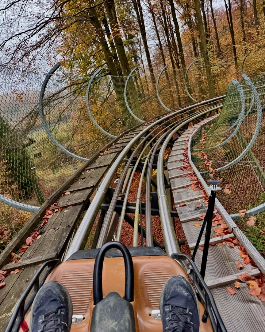 Snelheid. Ik ben een en al snelheid! 🏎️
#rodelbahn #fortfun instagr.am/p/DB2ErbituWG/