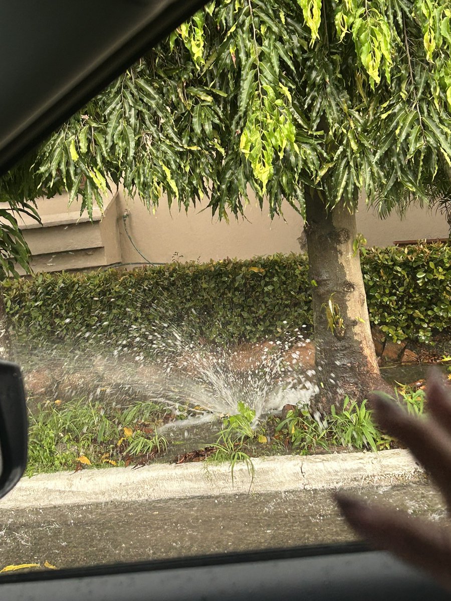 GinyFabulous's tweet photo. @IDAANinforma vamos para 12 horas que se sigue botando el agua y los reportes le valen como tres🌽🌽🌽  .  Total como a ustedes les gusta que se desperdicie el agua https://t.co/363jFkj0jh
