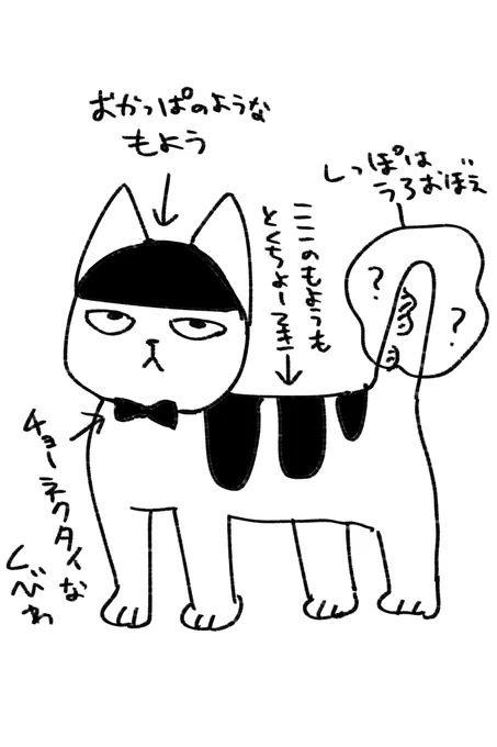 大阪の北の方にお住まいの方 早朝にこのような猫を見かけて後になって
「あれ?あんな綺麗なあきらか飼い猫が放し飼いされてるもんか・・・?迷いネコだったのでは・・・?」と不安になったので・・・ 
家の前に猫の使用済みトイレ置いておくと帰ってきやすいですよ・・・とだけ 