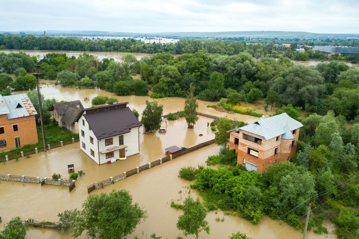 Gross Ins. Agency tweet media