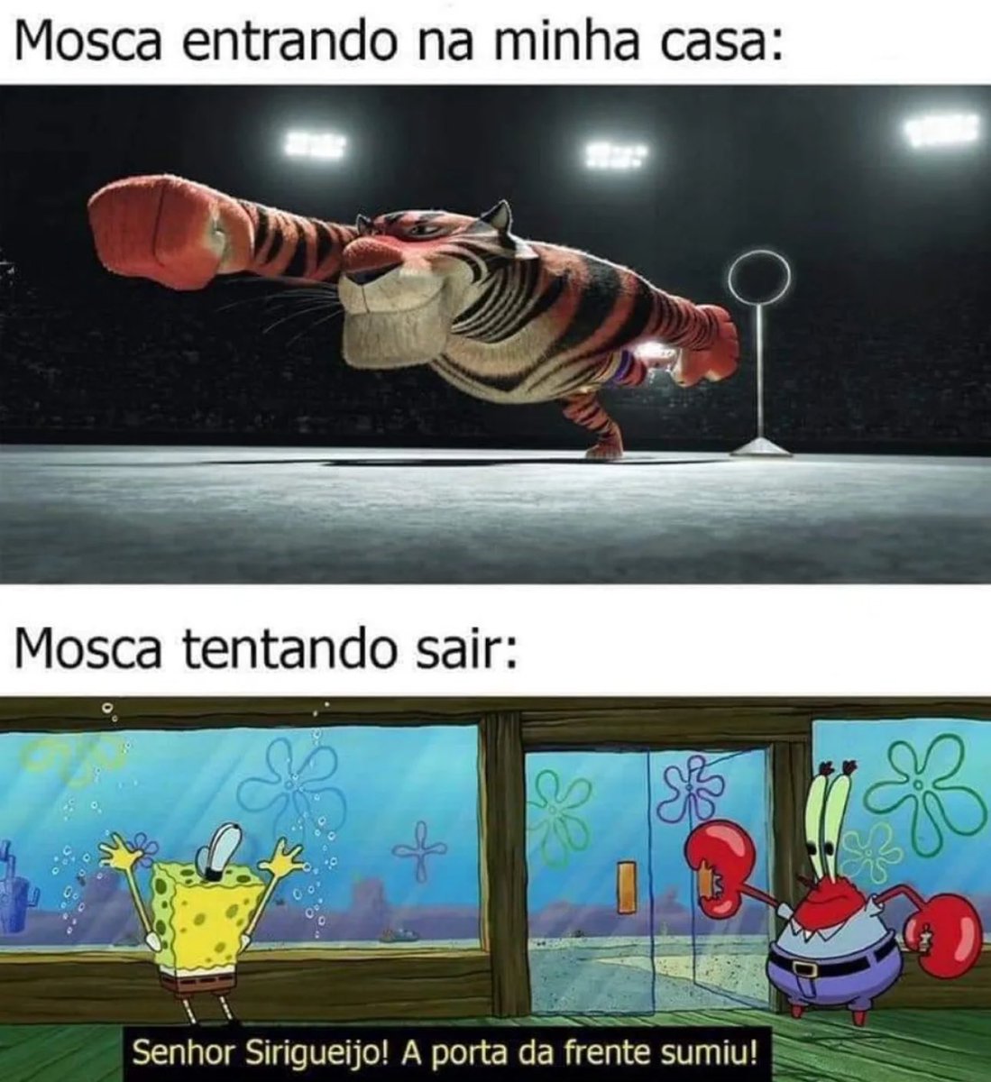 Shitpost só que de verdade (@shitpostverdade) on Twitter photo 