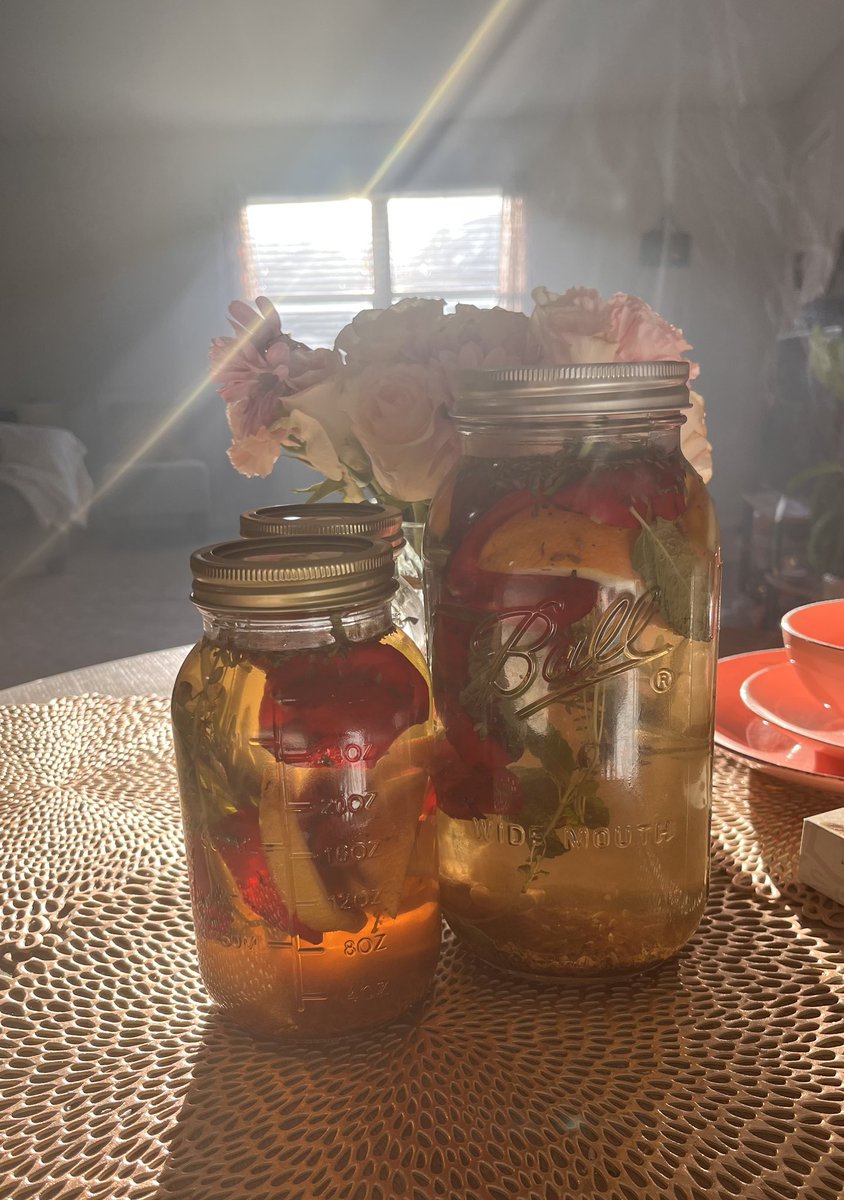 d1vinehealing's tweet photo. New batch of Florida Water 🫙was made under this beautiful New Moon 🌑 in Scorpio ♏️! Such calm and peaceful energy! ✨ https://t.co/yJ3AlwW1fY