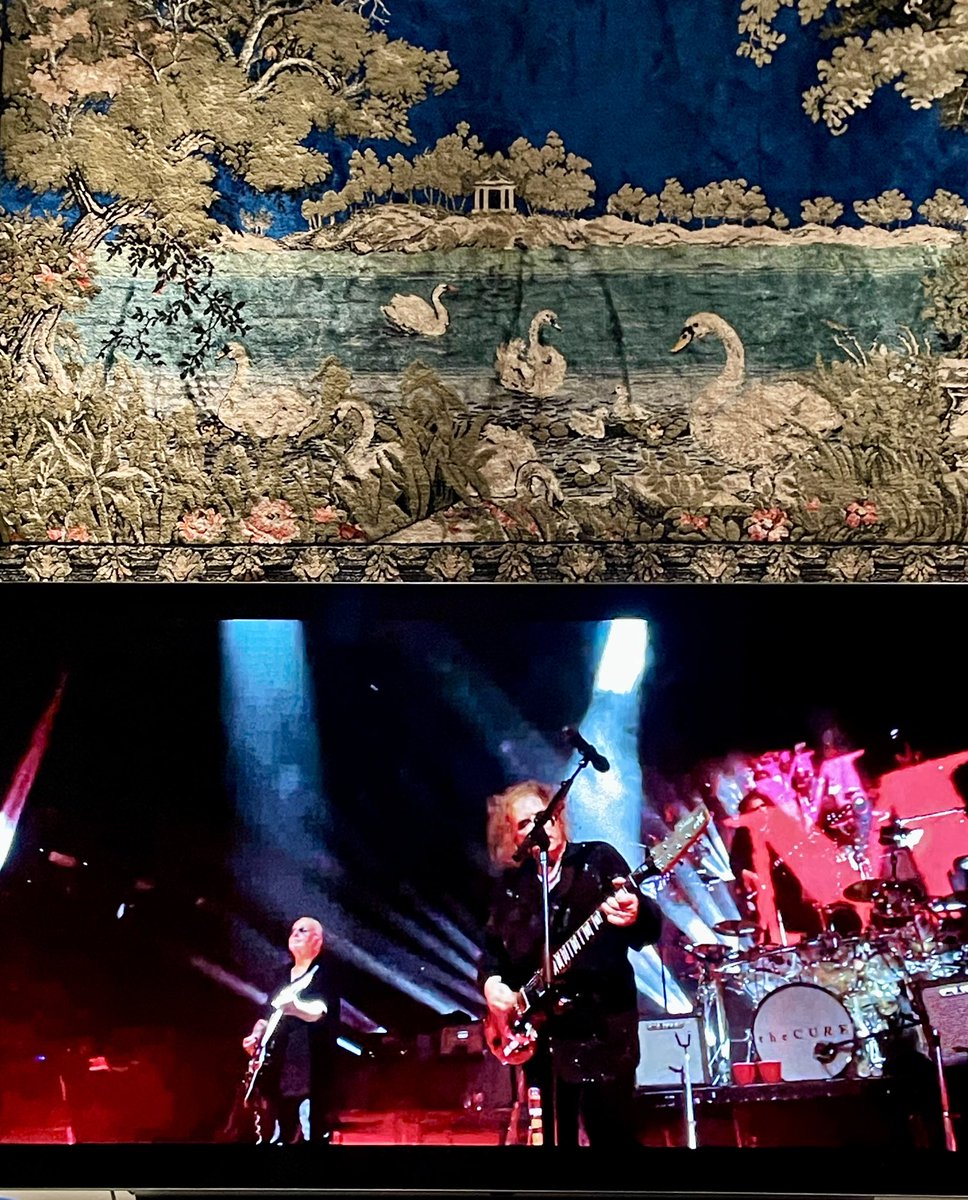 Jennї 🌻🏴‍☠️ tweet media