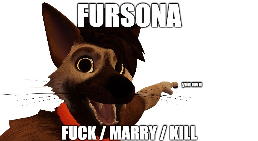 🔞DutchTheDogMan 🔜 Eurofurence tweet media