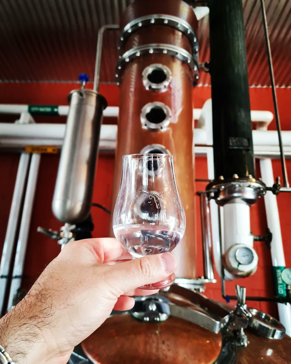 Perro Loco tweet media