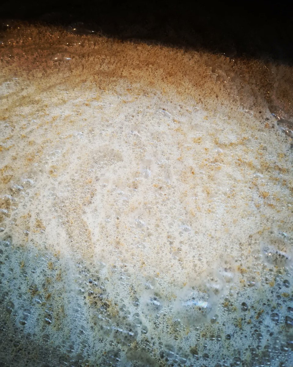 Perro Loco tweet media