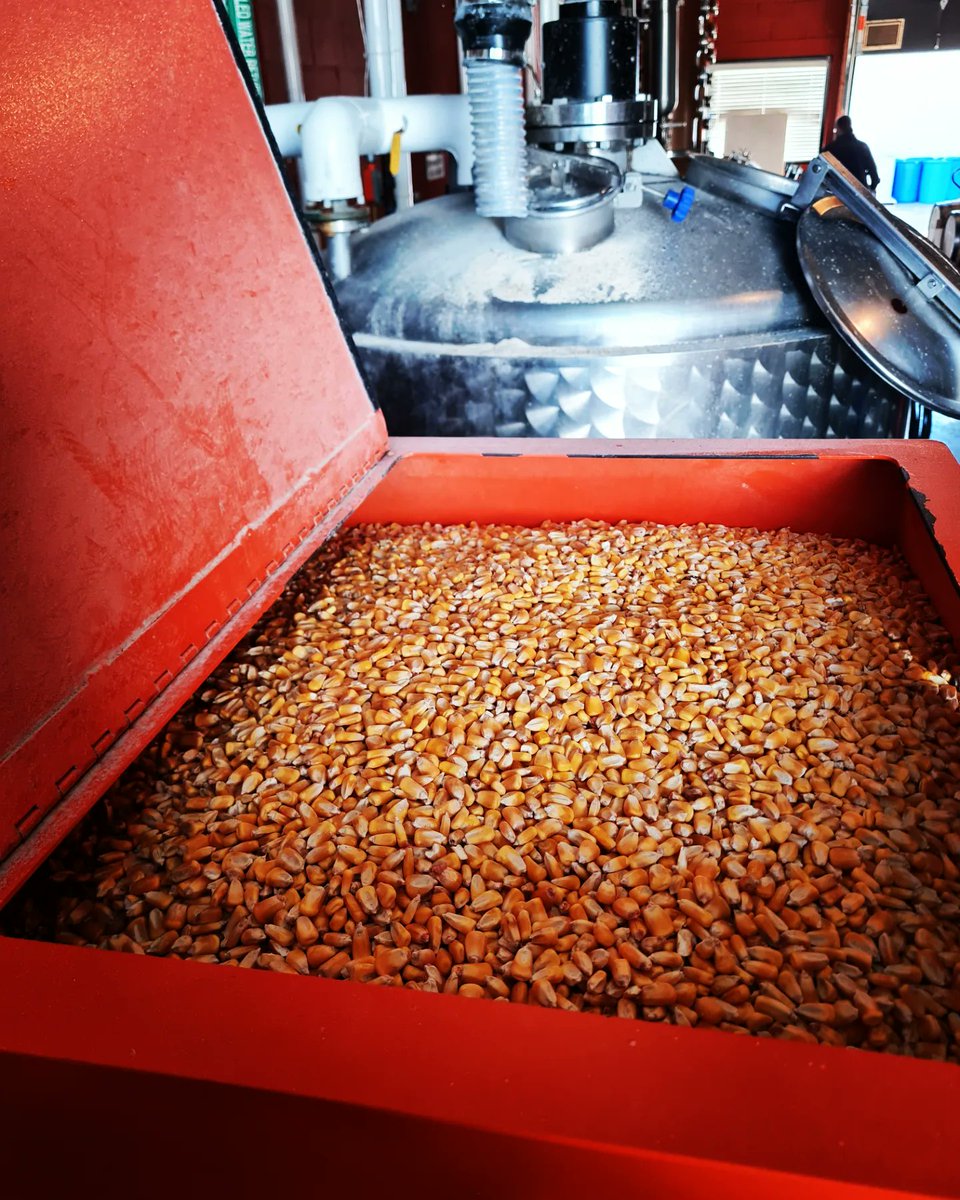 Perro Loco tweet media