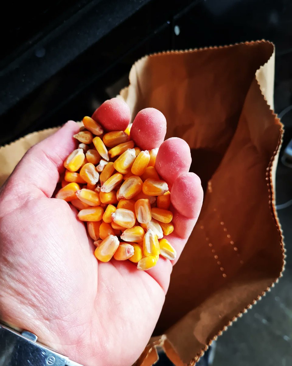 Perro Loco tweet media